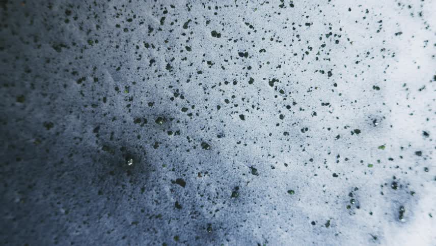 Particles float through pale medium