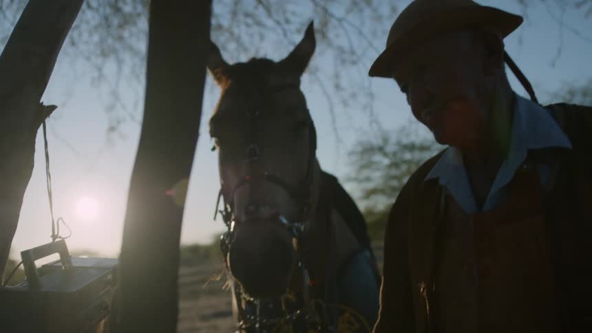 An elderly man listening to a radio tied to a tree next to a horse