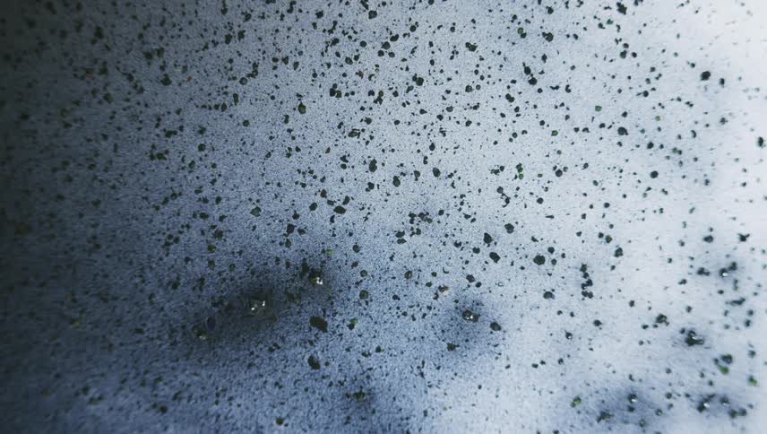 Dark droplets suspended in white liquid