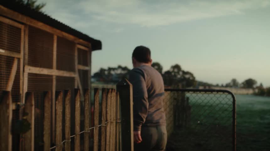 Farmer opens the gate on a wooden fence to access the chicken coops in the morning