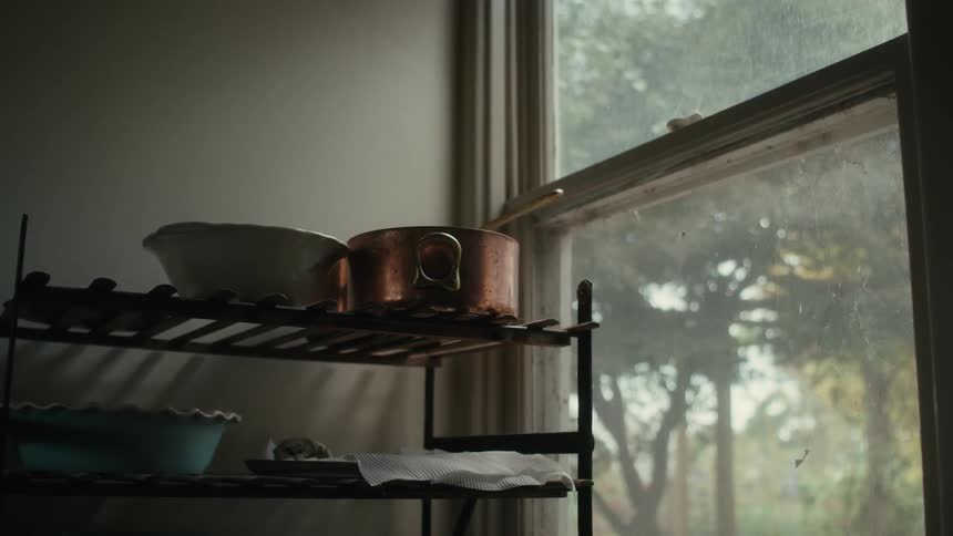 Dish drying rack stands next to window in the kitchen