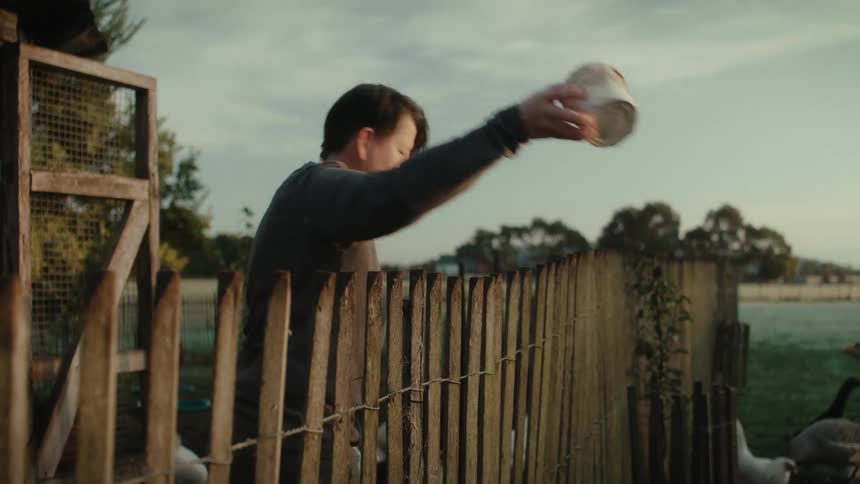 Farmer feeding chickens and ducks over a picket fence on a farm in the morning