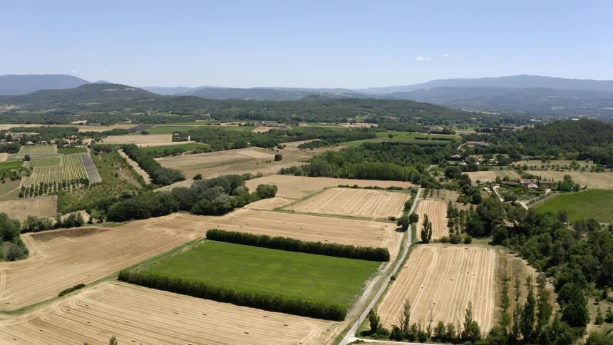 Crops sit in long even rows in the countryside