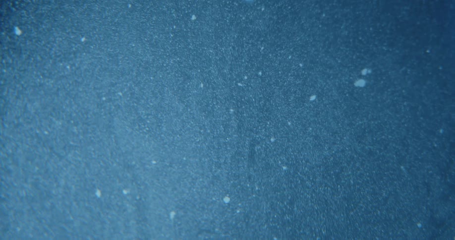 Rippling blue liquid