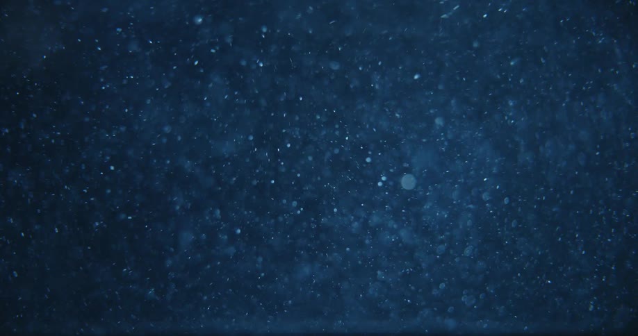 Underwater footage of air bubbles rising to the surface of a deep blue body of water