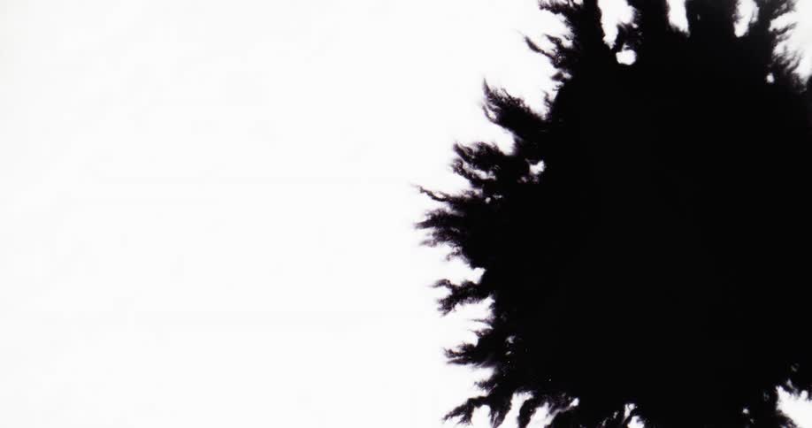 Black splotches expand through white meeting in middle