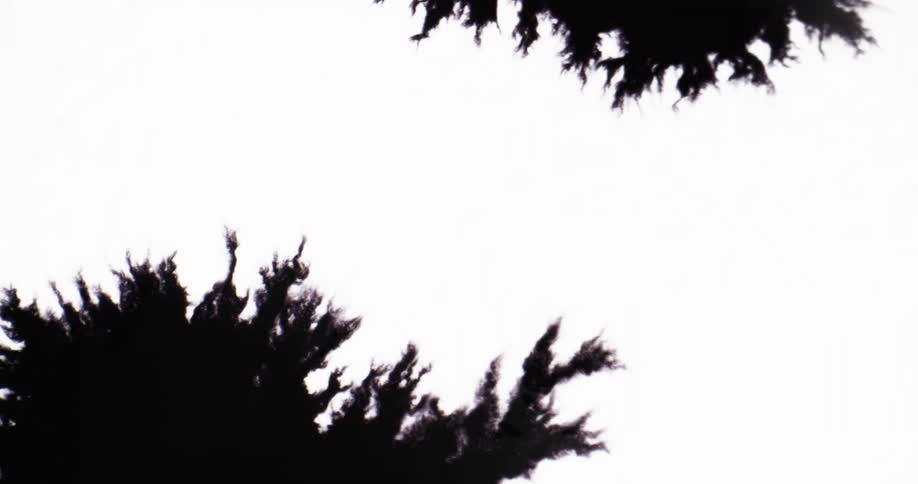 Black ink blots spread across white