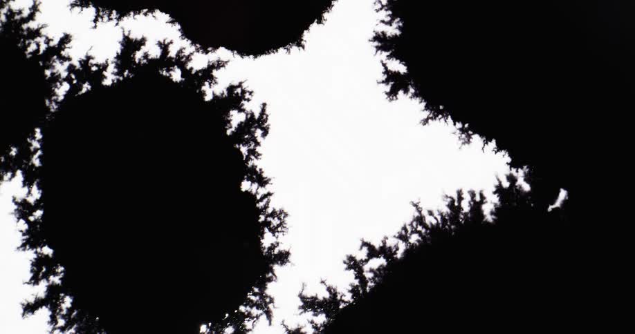 Blobs of black in spread out slowly on a white surface