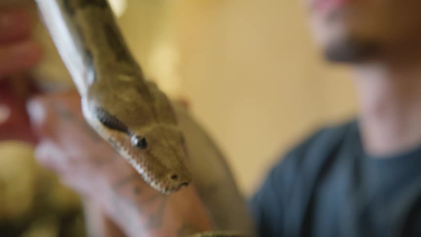 A man is holding up his large snake