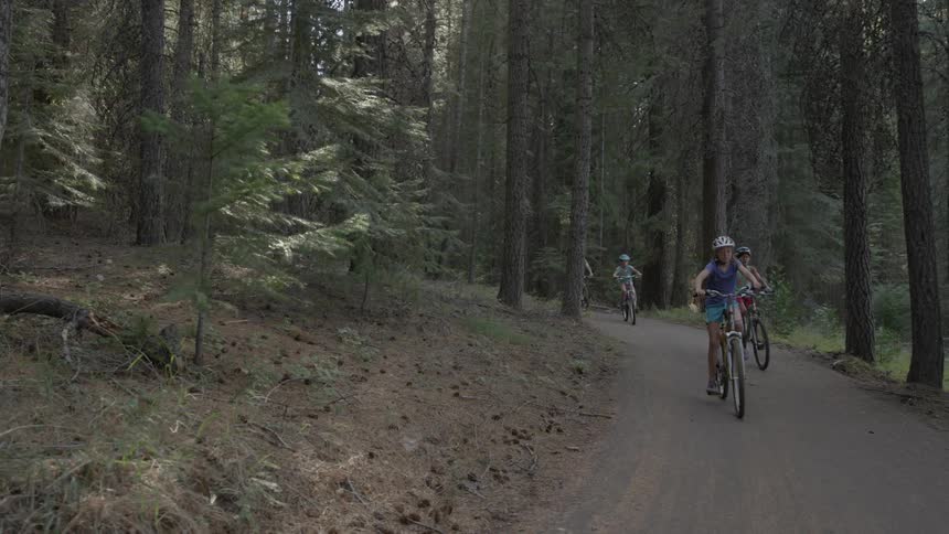 Several people riding bikes on a trail through the woods