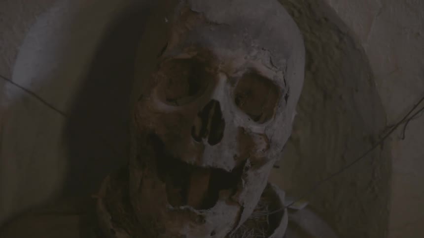 A skull in a dim setting