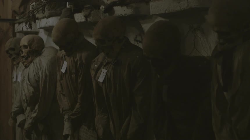 Dressed skeletons lined up in a row