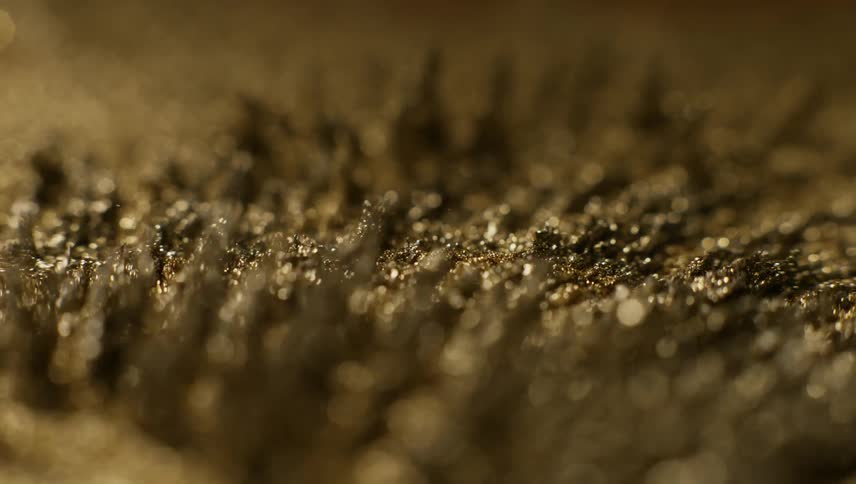 Time lapse of vegetation growing in soil