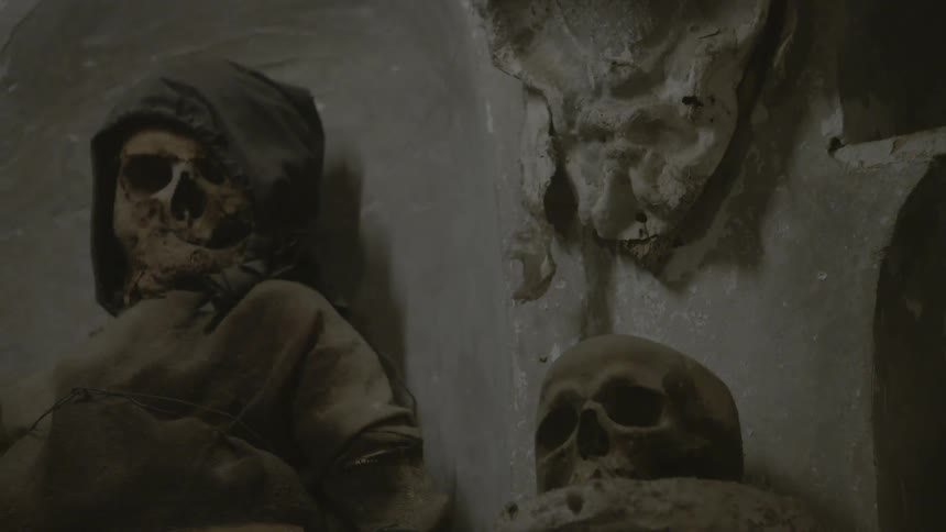 A wall has skeletons lining it