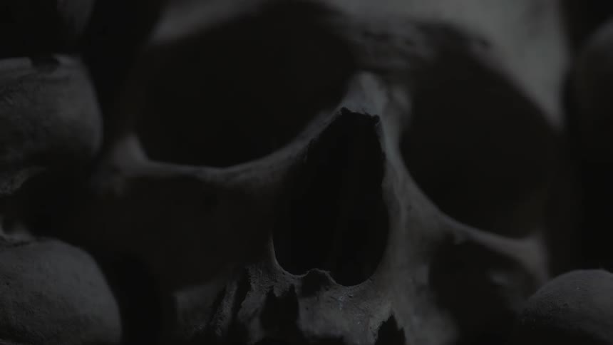 A decayed skull sits in the dark