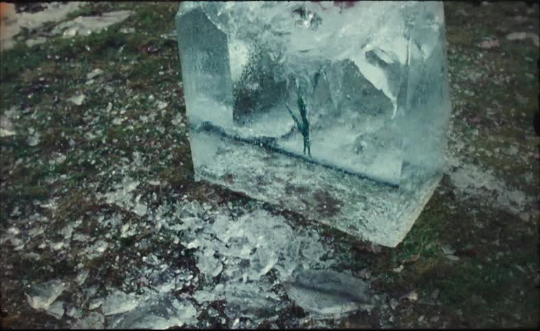 A block of ice with flowers suspended inside is broken and shattered