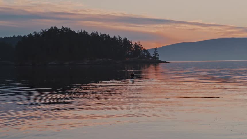 A person rows a small boat across a lake in the evening