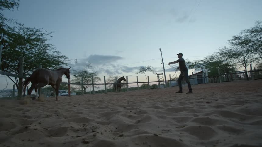 A man is holding rope in his hands and walking his horse around him in a circle as another horse stands watching
