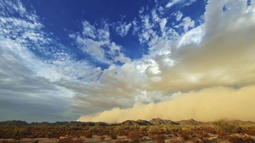 Plants and cactus grow in the desert with mountains in the distance and clouds moving overhead as a dust storm moves over the land