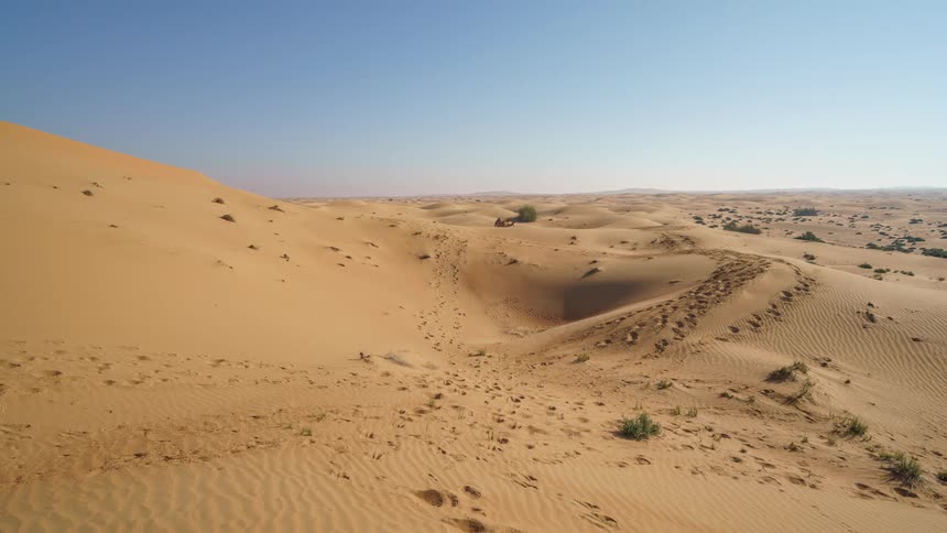 A man leads two camels out into the desert and returns over the dunes