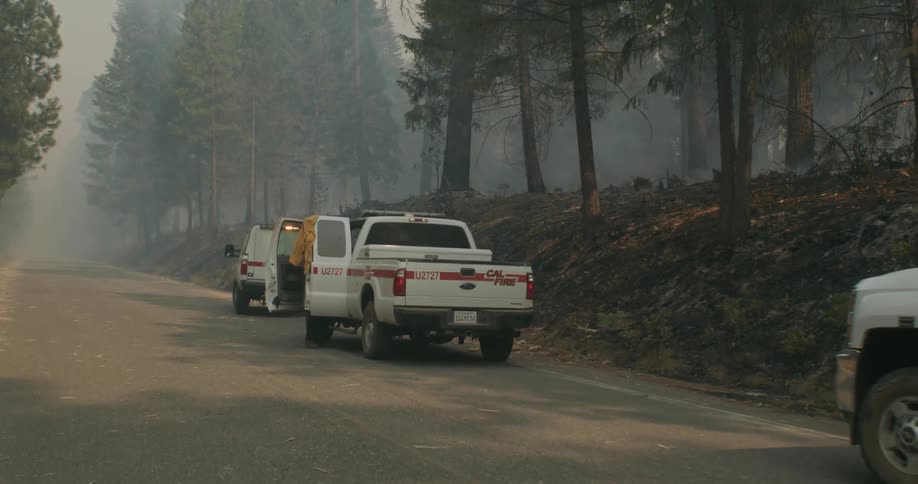 The firefighter is by his truck as smoke flows out of the forest
