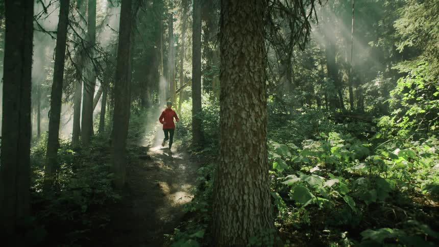 A woman jogs through a forest