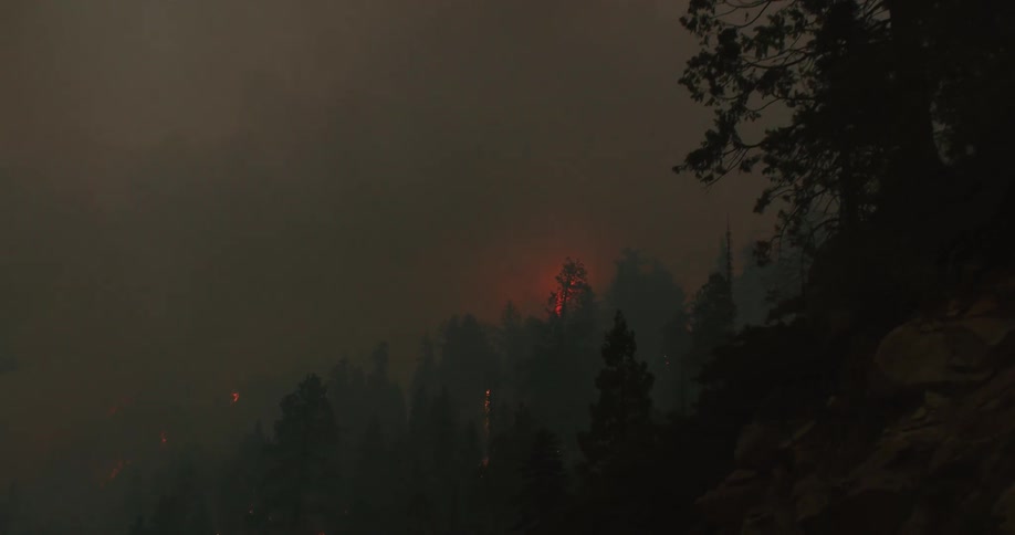 Fire and flames are glowing in the smoke above the forest as trees are burning and the forest is on fire