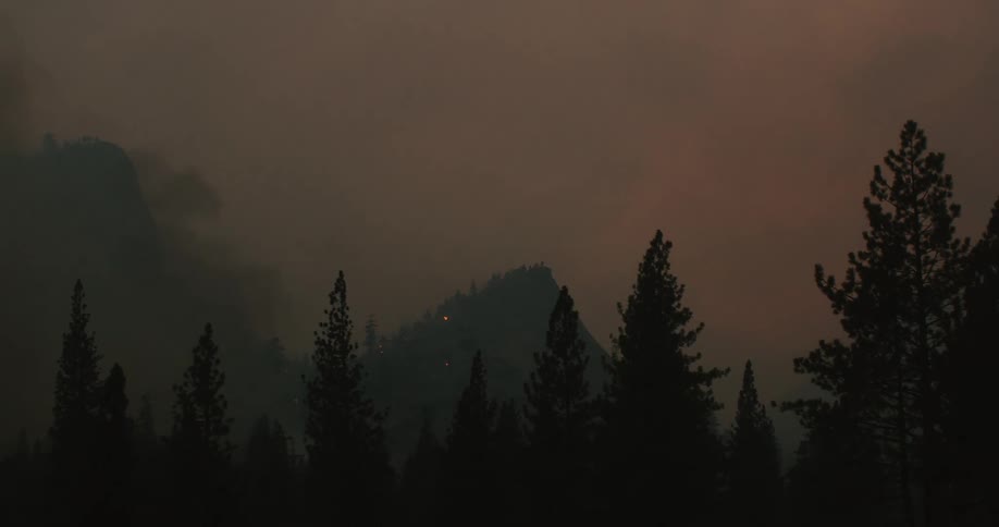 A smoky forest during a forest fire