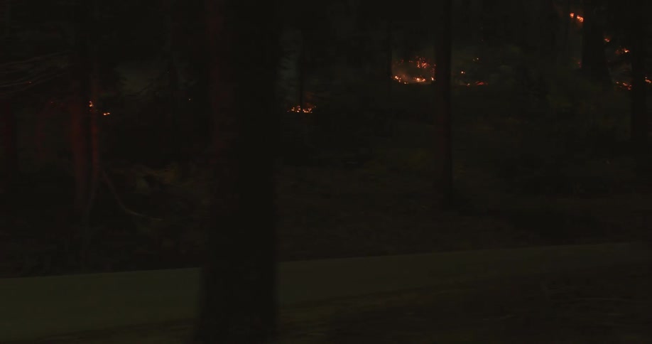A truck parked in a forest during a forest fire