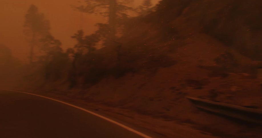 Traveling on a road surrounded by burning trees and smoke as the forest is on fire and hot embers fly through the air