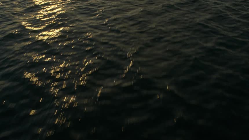 Ocean waves reflect sunlight