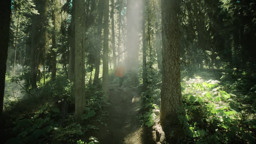 A woman is jogging through a forest during spring