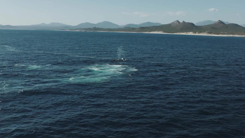 Aerial view of ocean waves is displayed
