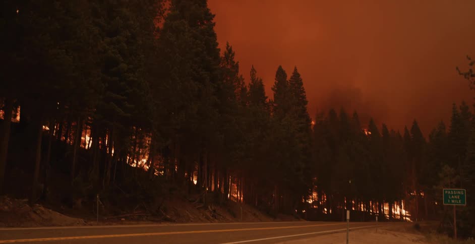 A forest fire turns the night sky orange