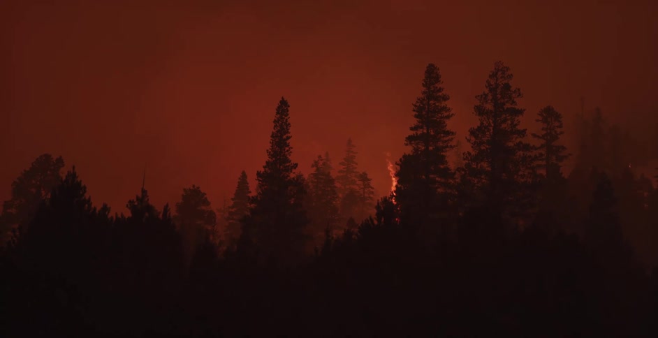 A smoke filled forest with flames rising up