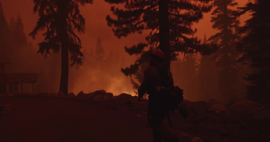 A firefighter walks through the burning forest