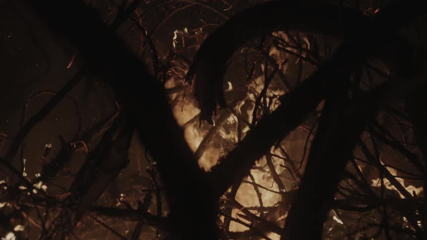 A pile of branches burning