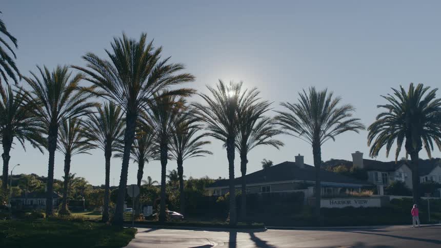 A woman walks through a neighborhood as vehicles pass her by