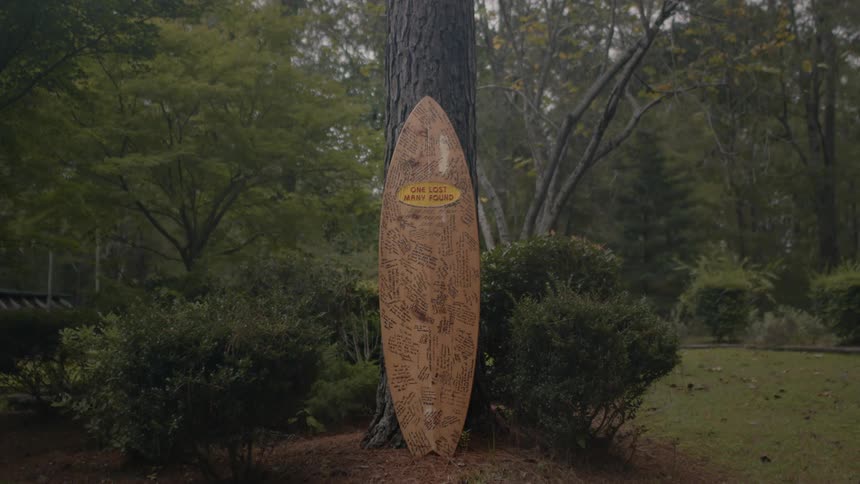 A surfboard reclined on a tree in a park at daytime