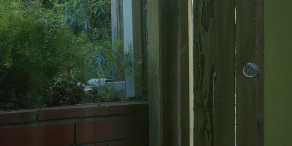 Person closes wood door in the garden