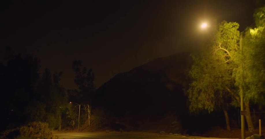 The road is lined with lamp posts
