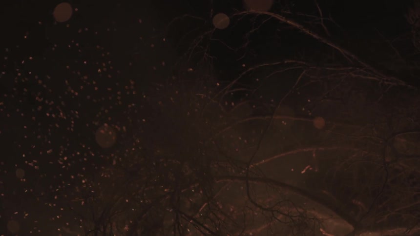 Sparks fly from a fire at night