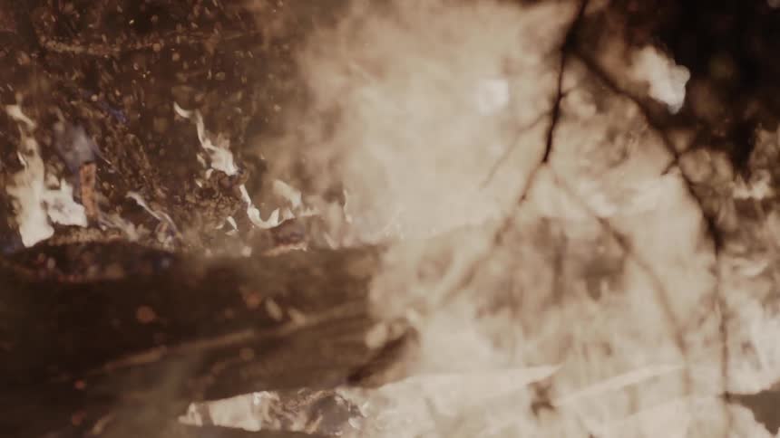 Fire blazes on some trees at night