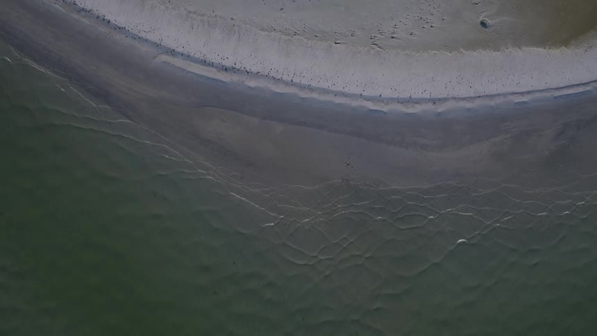 The water below has small ripples in it