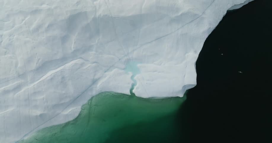 Aerial view of birds flying above icebergs in the ocean