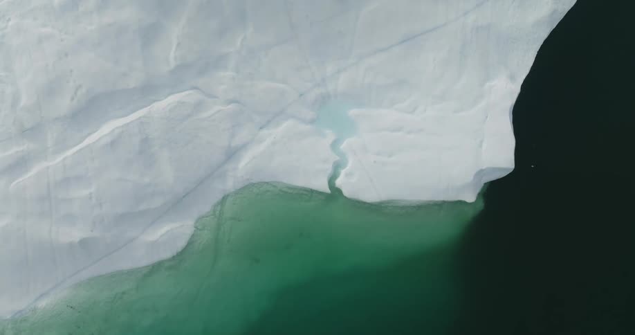 Cracks in a white textured substance are filled with turquoise liquid as a black blob hangs over part of the organic scene