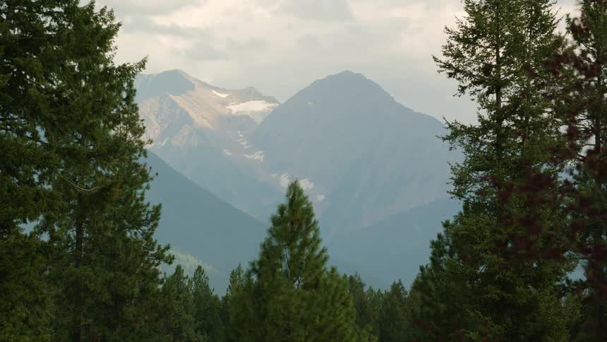 Clouds float over distant mountains seen from forest slope