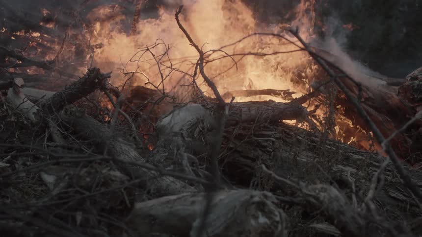 A fire is consuming trees ahead