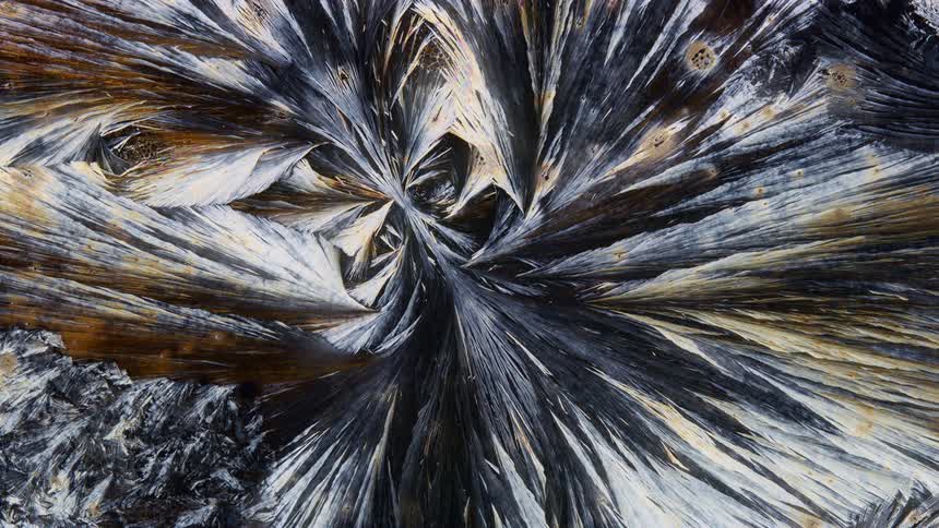 Crystals under a microscope reflect orange light