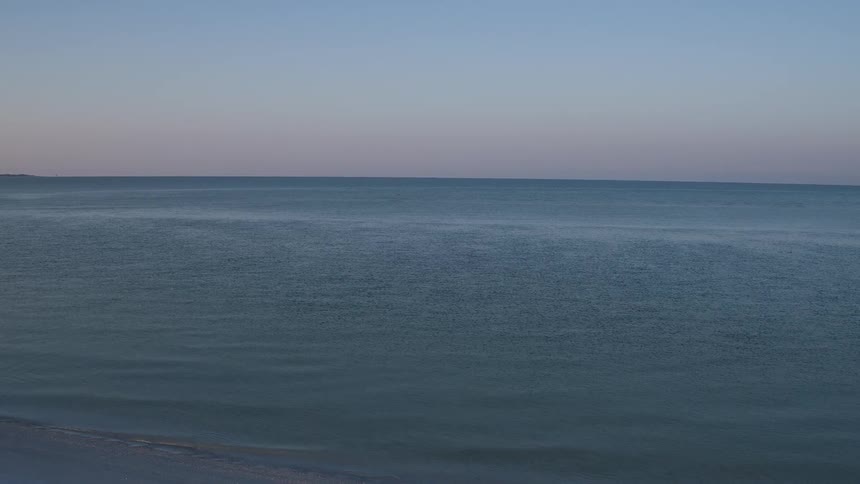 Birds fly over the water on a clear day